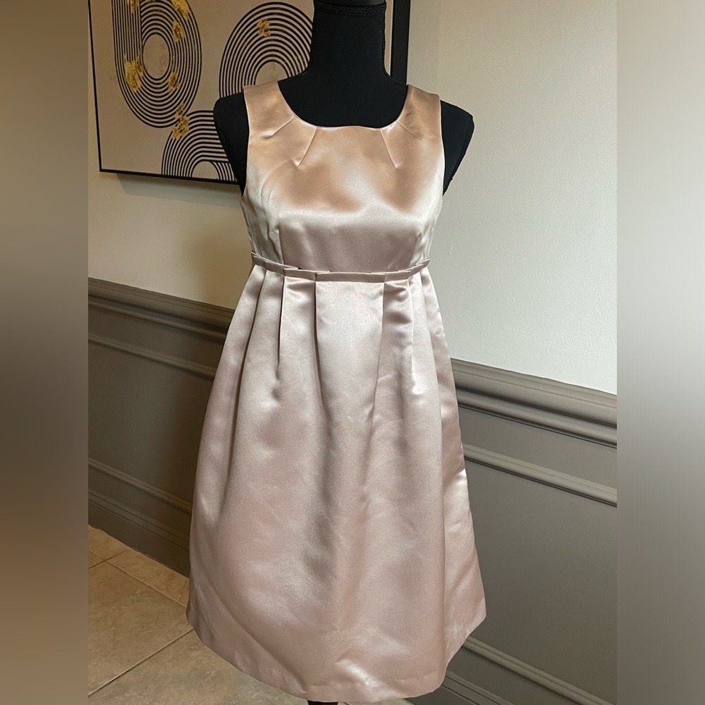 BCBG High Waist Dress